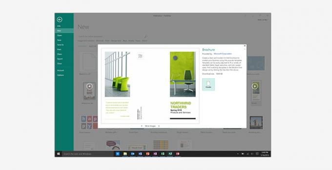Lizenz-Schlüsselwort-Excels Powerpoint Frau-Microsoft Office Fachmann-2016 Aussicht